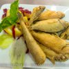 Ristoranti - La Rondinella Tavola Calda