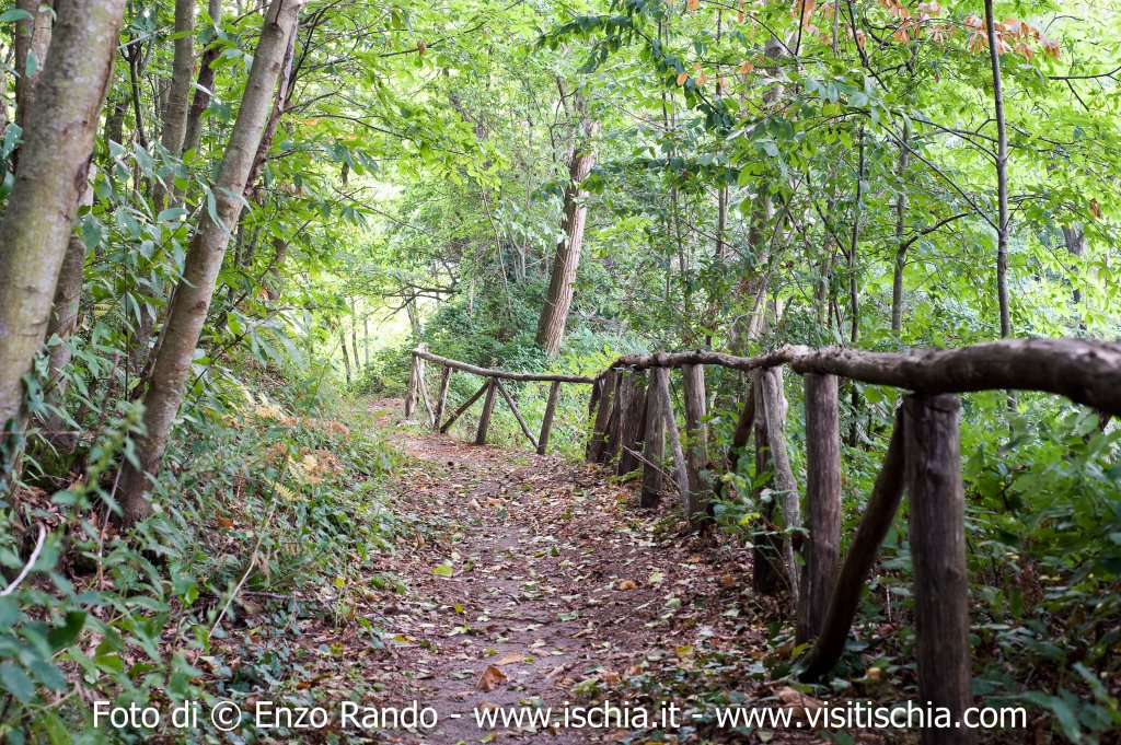 sorgente-di-buceto-8