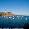 isola_ischia-55